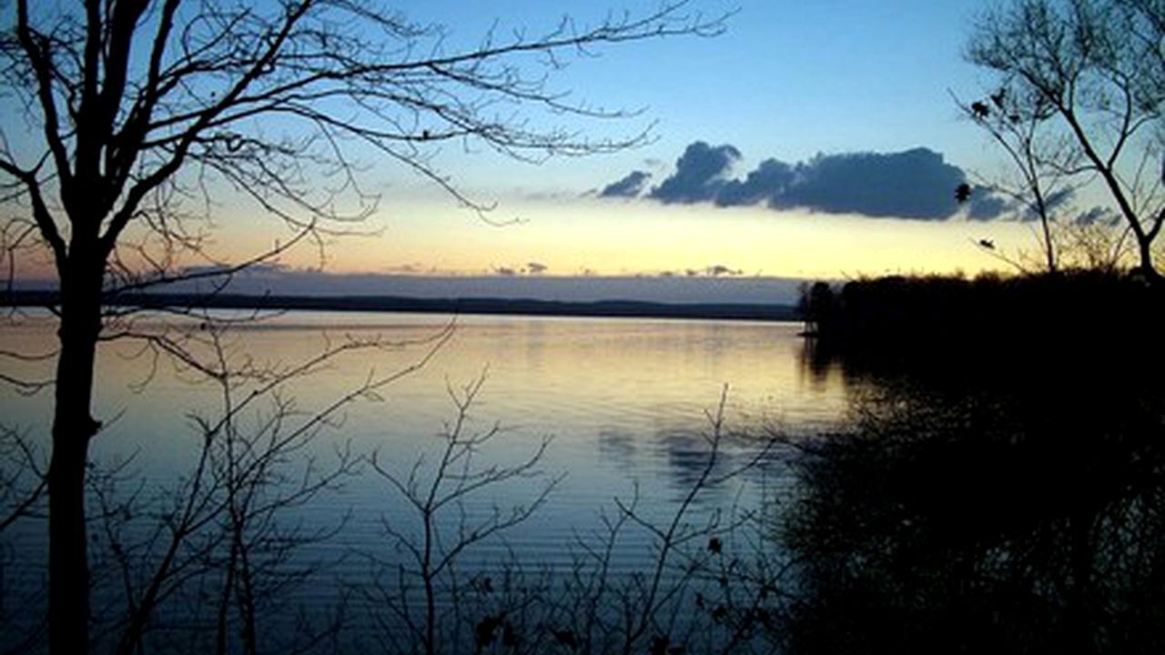 Photo of Others in Carp Lake