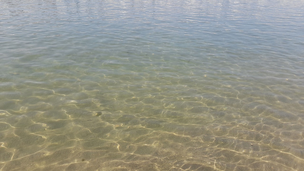 Photo of Others in Marina di Pisa