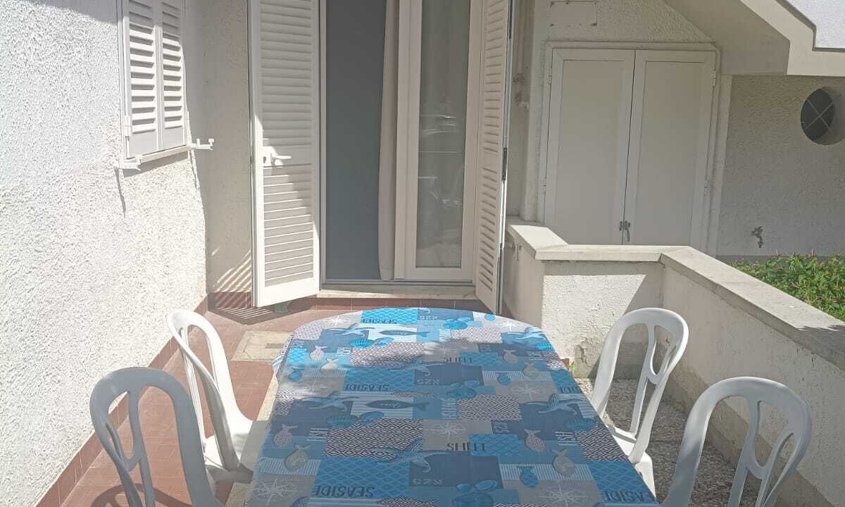 Photo of Outdoor in Marina di Pisa