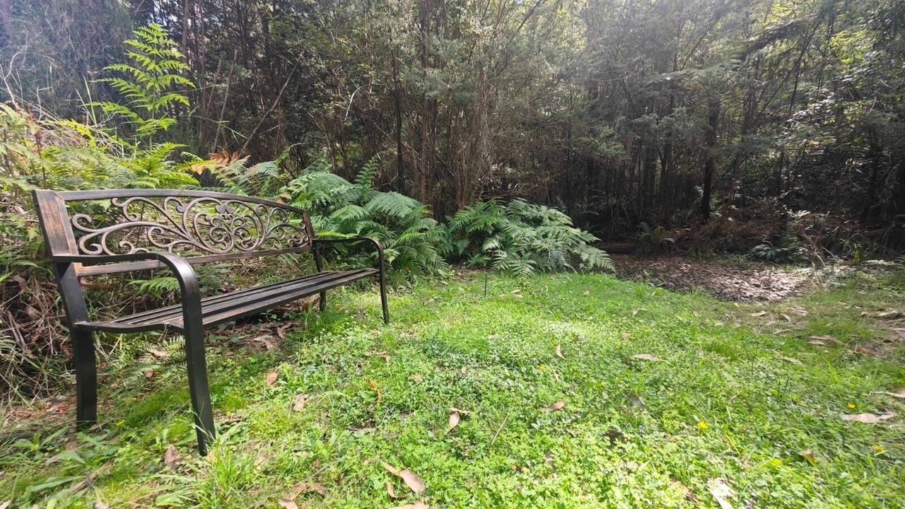 Photo of Outdoor in Marysville