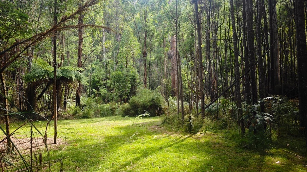 Photo of Others in Marysville