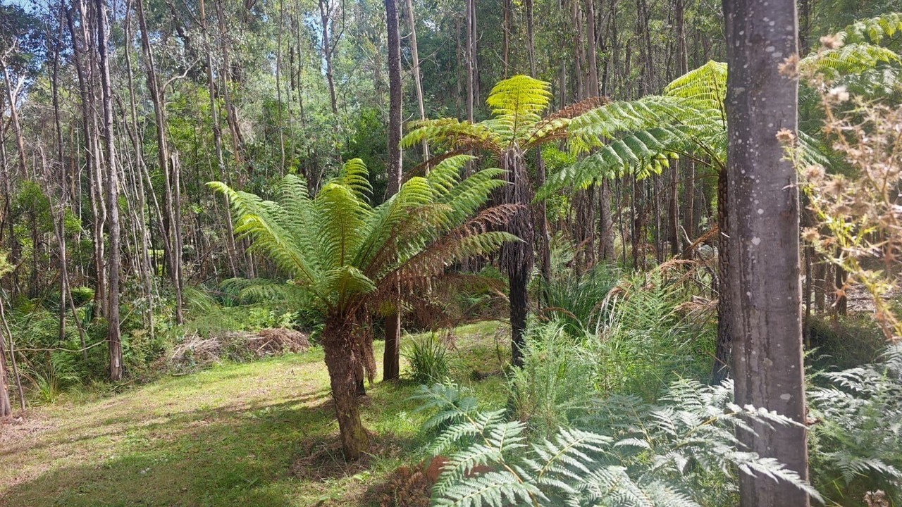 Photo of Outdoor in Marysville