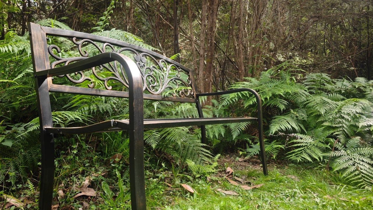 Photo of Outdoor in Marysville