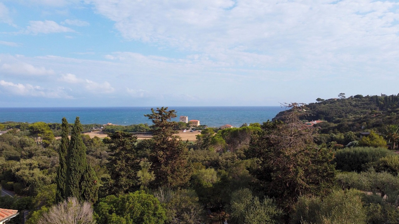 Photo of Others in Ansedonia