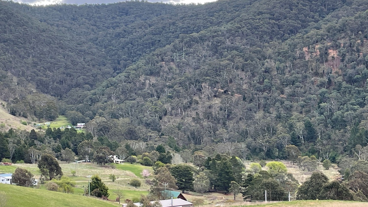Photo of Others in Omeo