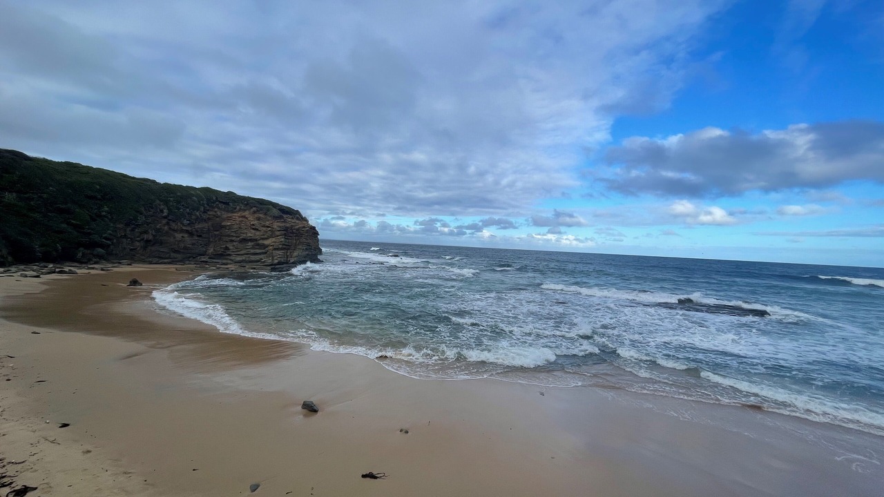 Photo of Others in Cape Paterson