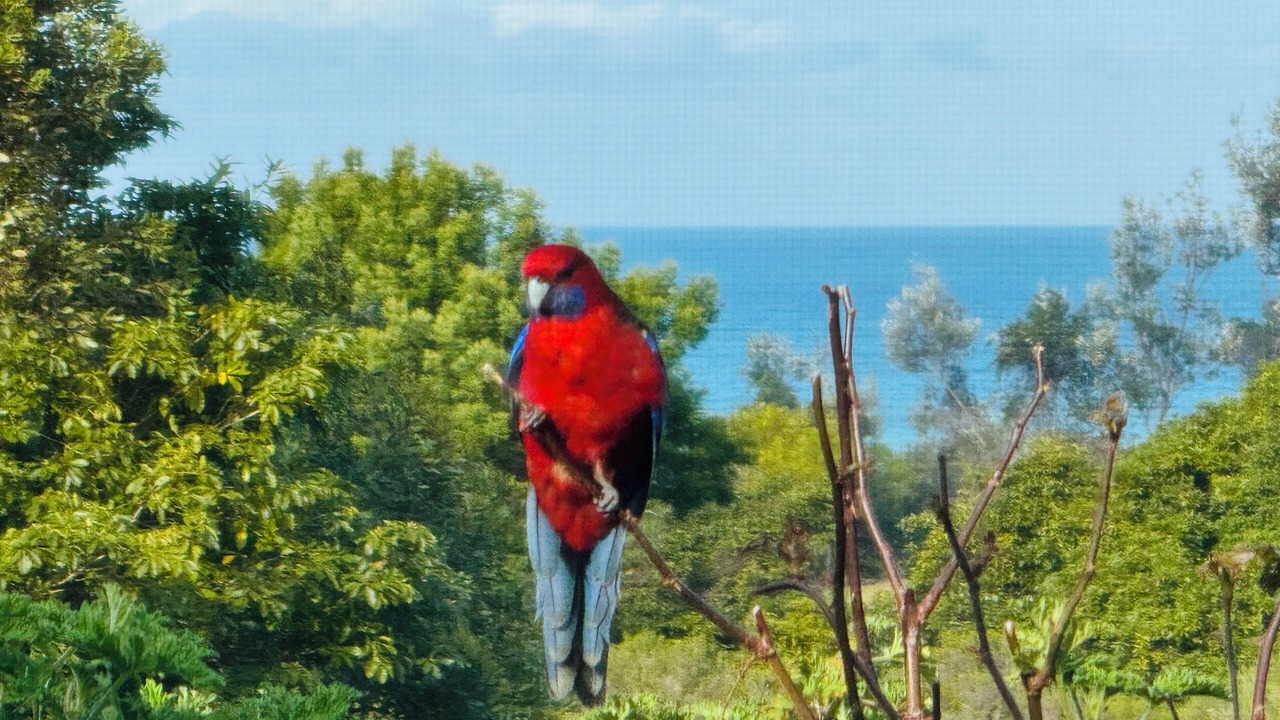 Photo of Others in Lake Bunga