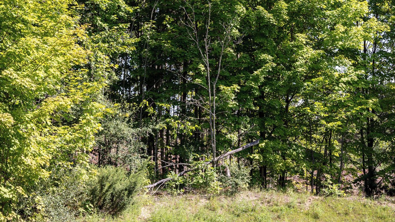 Photo of Outdoor in Cedar