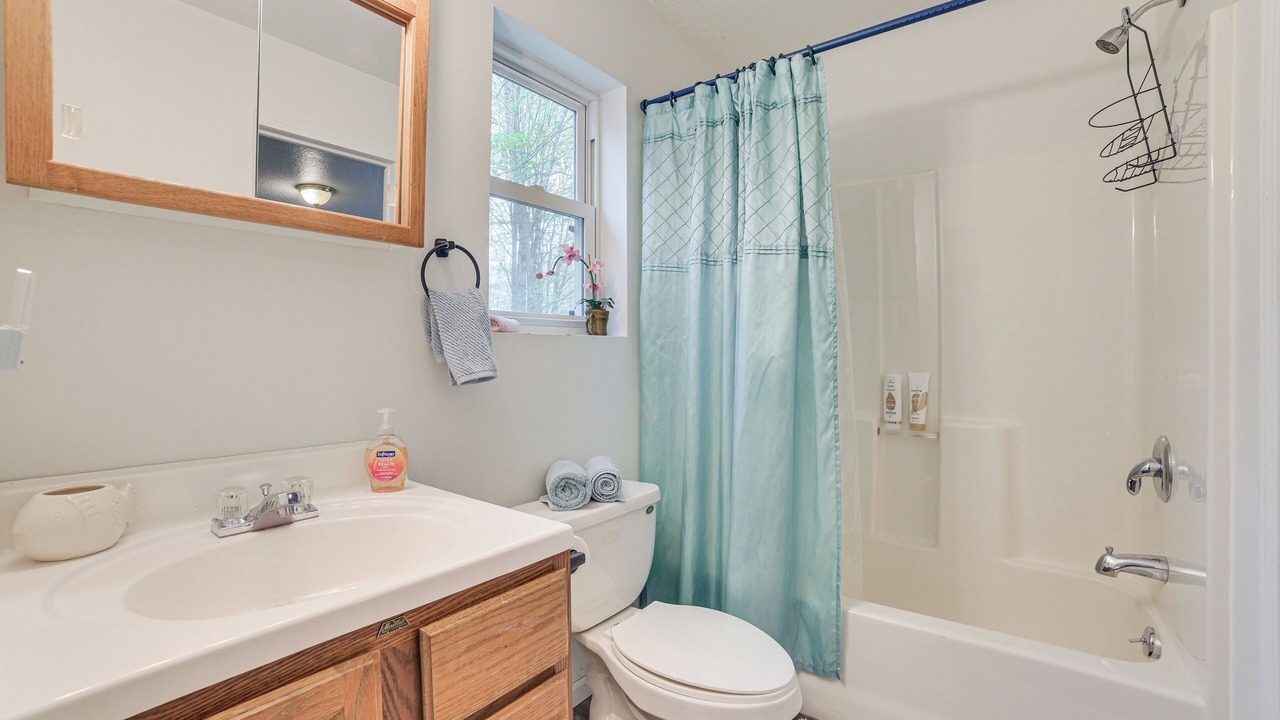 Photo of Bathroom in Kalkaska