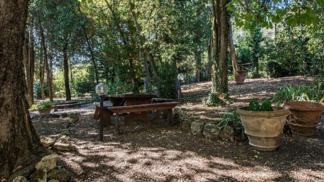 Photo of Outdoor in Rignano sull'Arno