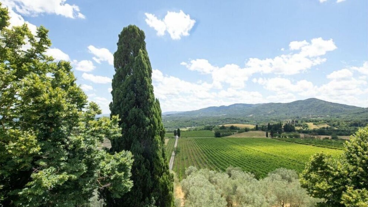 Photo of Others in Rignano sull'Arno