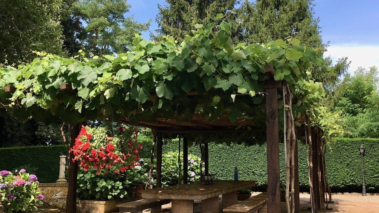 Photo of Outdoor in Torre Alfina