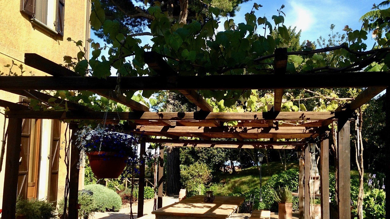 Photo of Outdoor in Torre Alfina