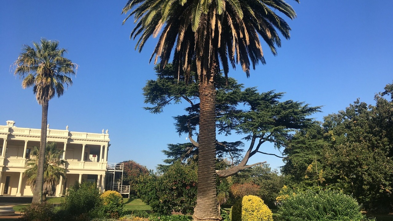 Photo of Others in Brighton East