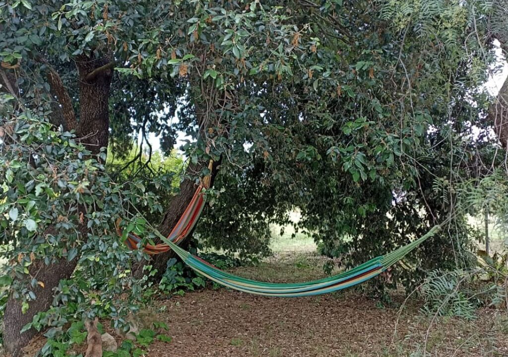 Photo of Others in Orbetello