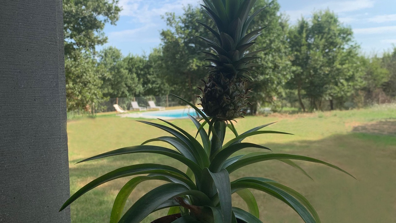 Photo of Outdoor in Ferretto