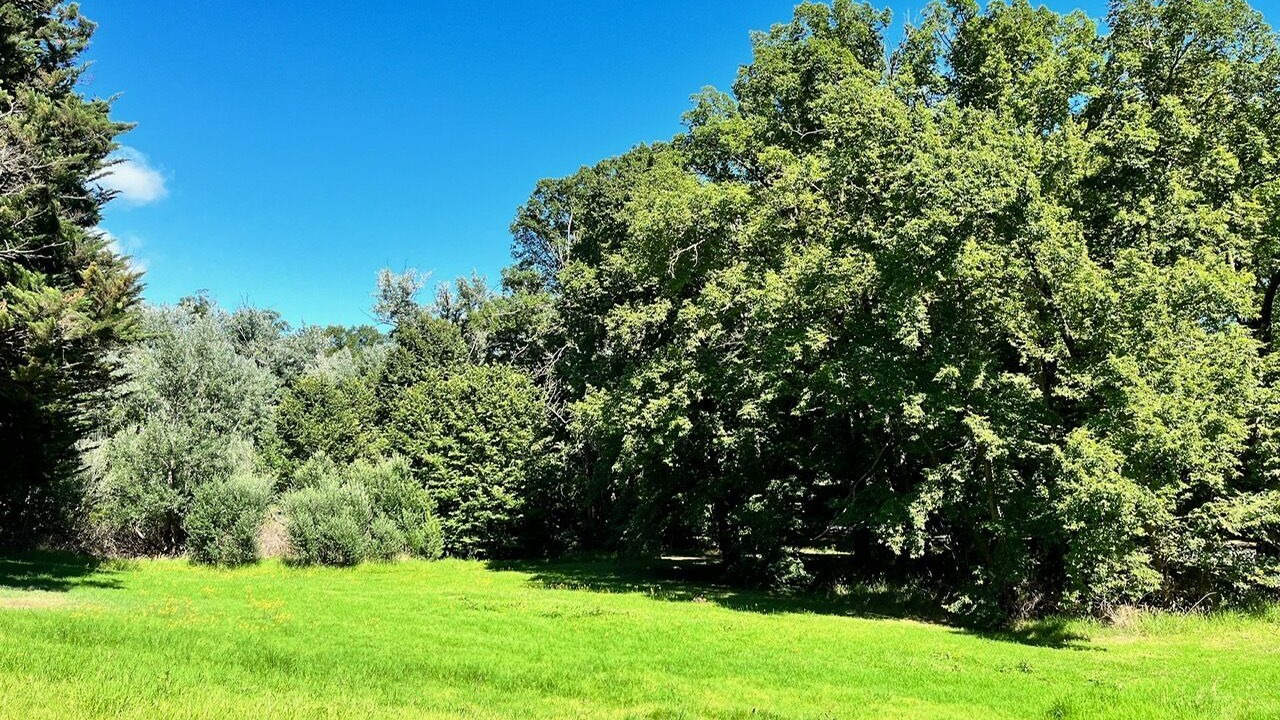 Photo of Outdoor in Healesville