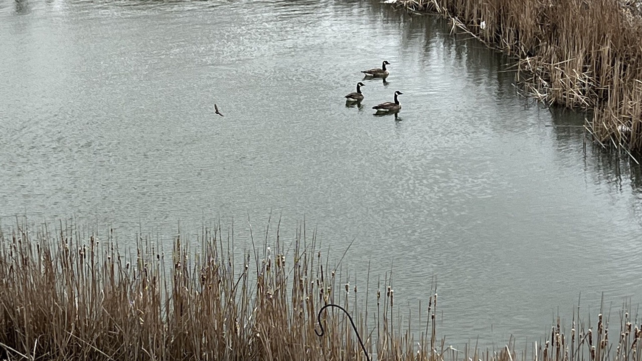 Photo of Outdoor in Oak Harbor