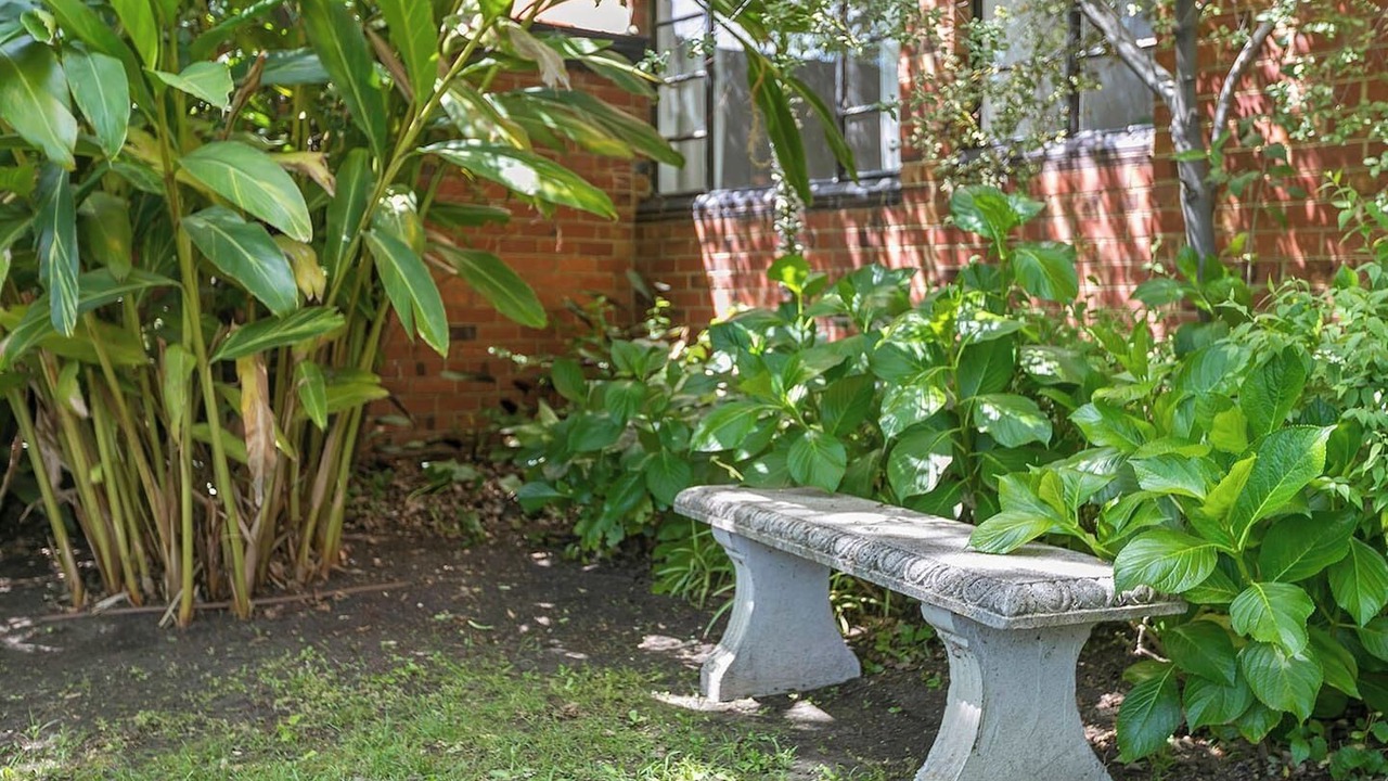 Photo of Outdoor in Malvern East