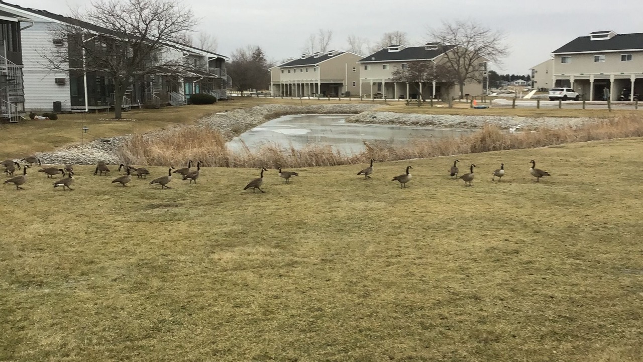 Photo of Others in Oak Harbor