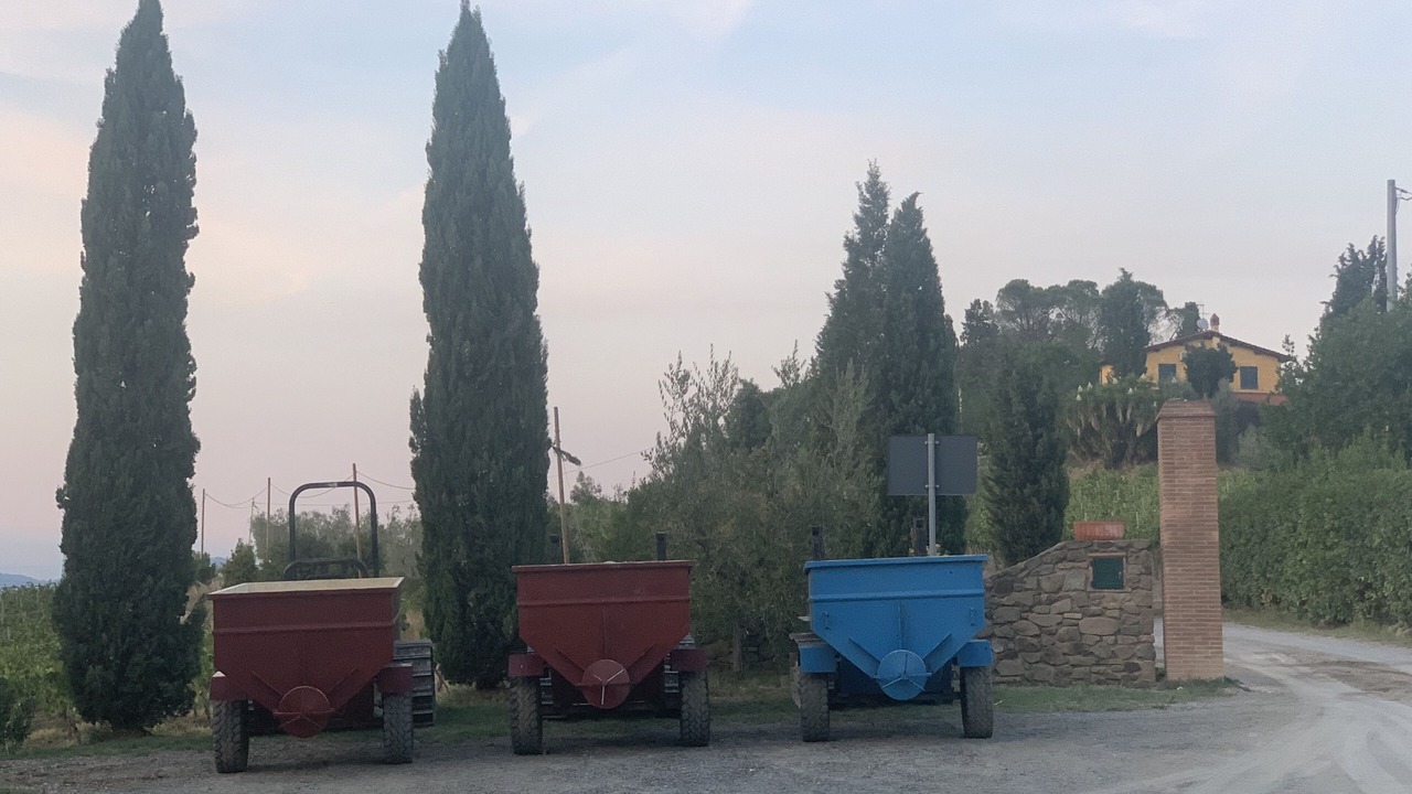 Photo of Outdoor in Cerreto Guidi