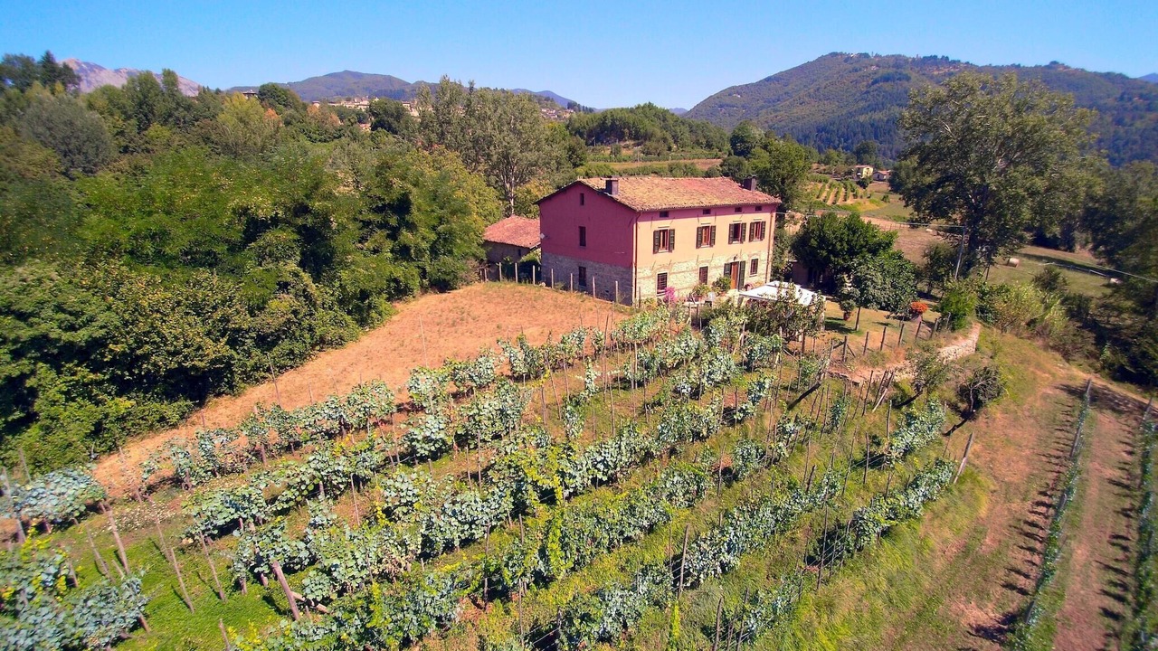 Photo of Others in Castiglione di Garfagnana