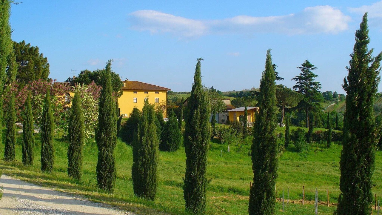 Photo of Outdoor in Vinci