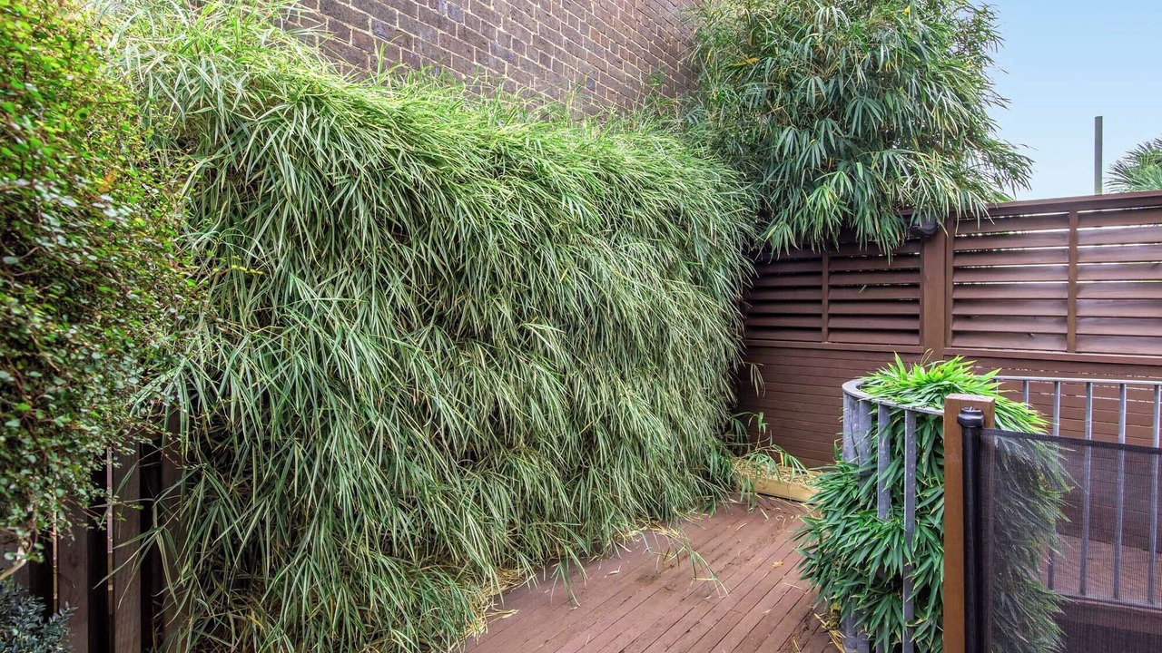 Photo of Outdoor in East Melbourne