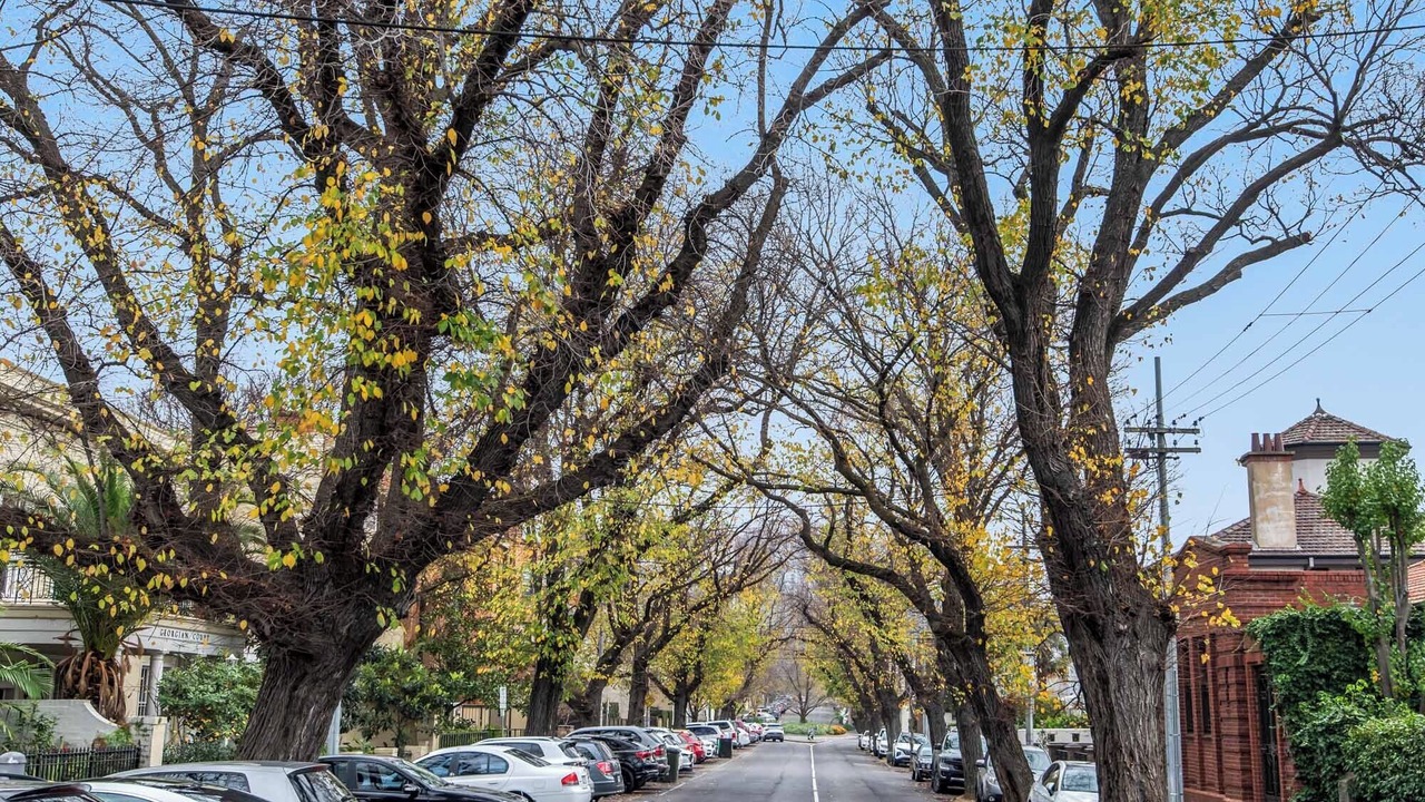 Photo of Others in East Melbourne