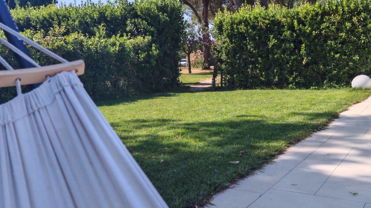 Photo of Outdoor in Bibbona