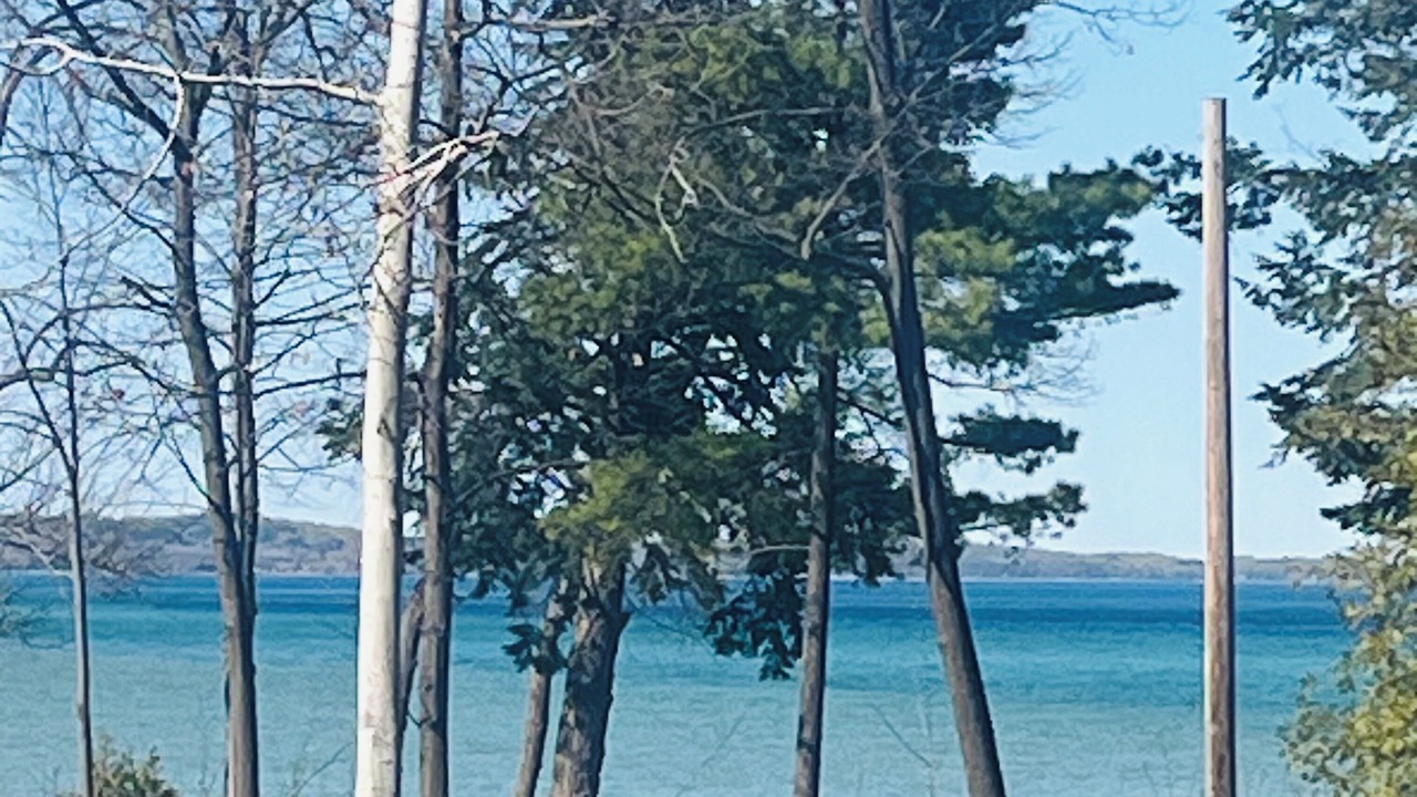 Photo of Outdoor in Traverse City