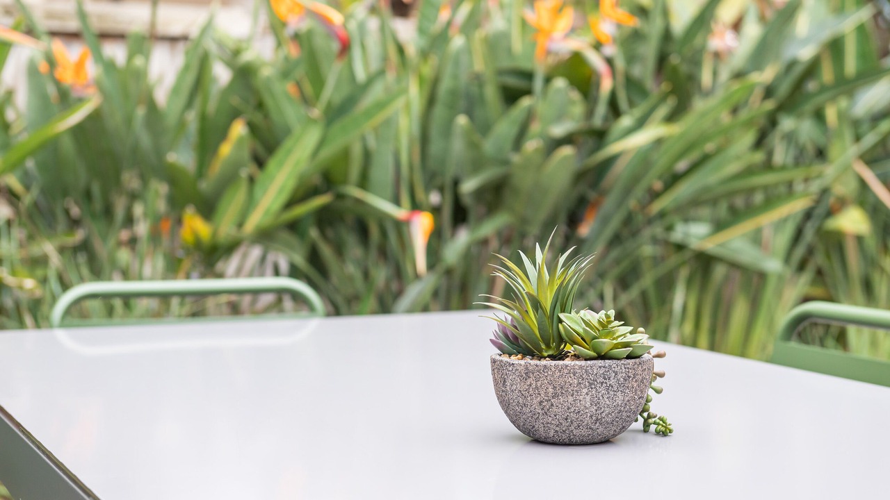 Photo of Outdoor in Mordialloc