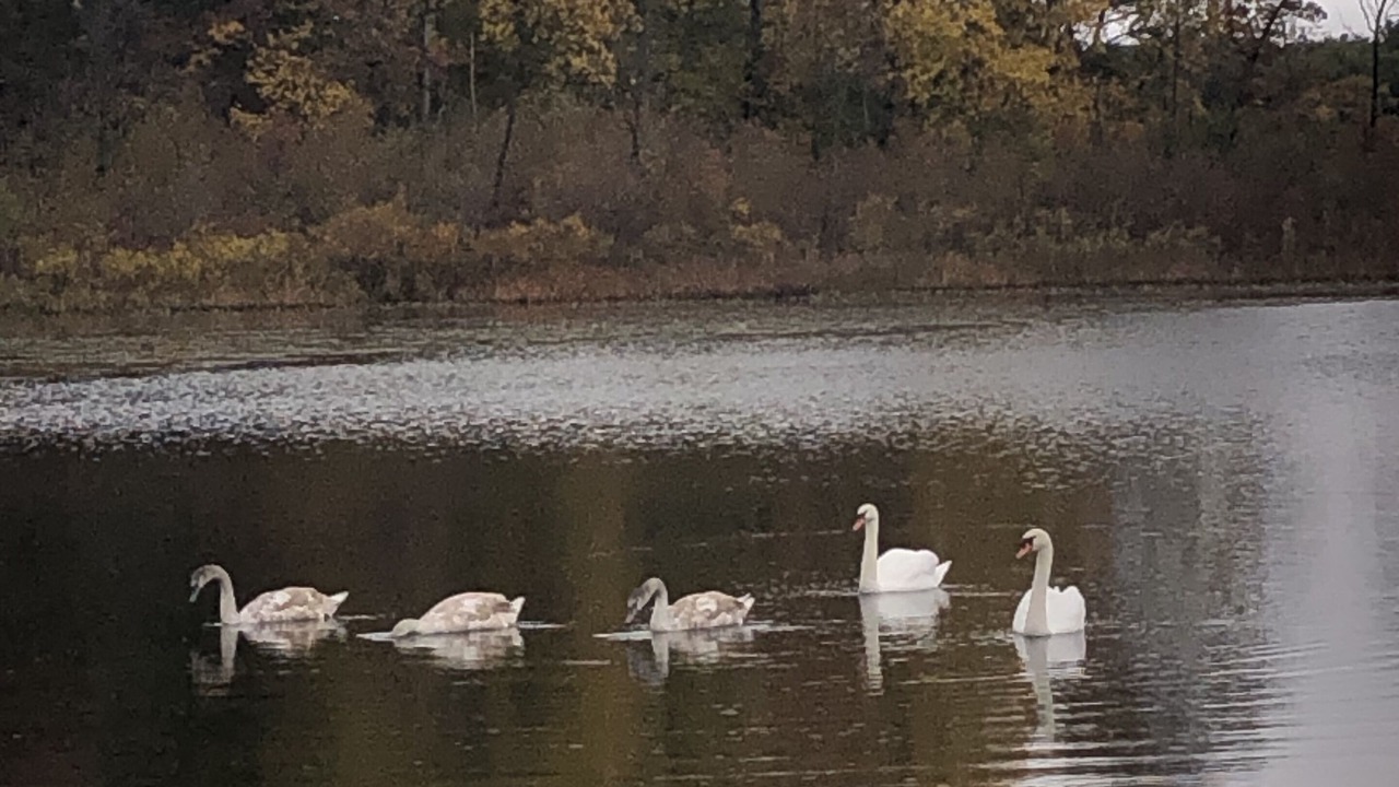 Photo of Outdoor in Hillsdale