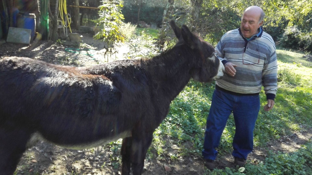 Photo of Others in Pieve a Nievole