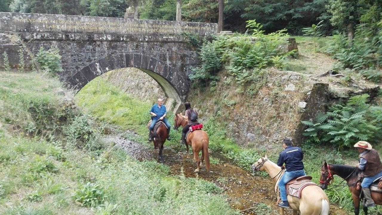 Photo of Others in Capannori