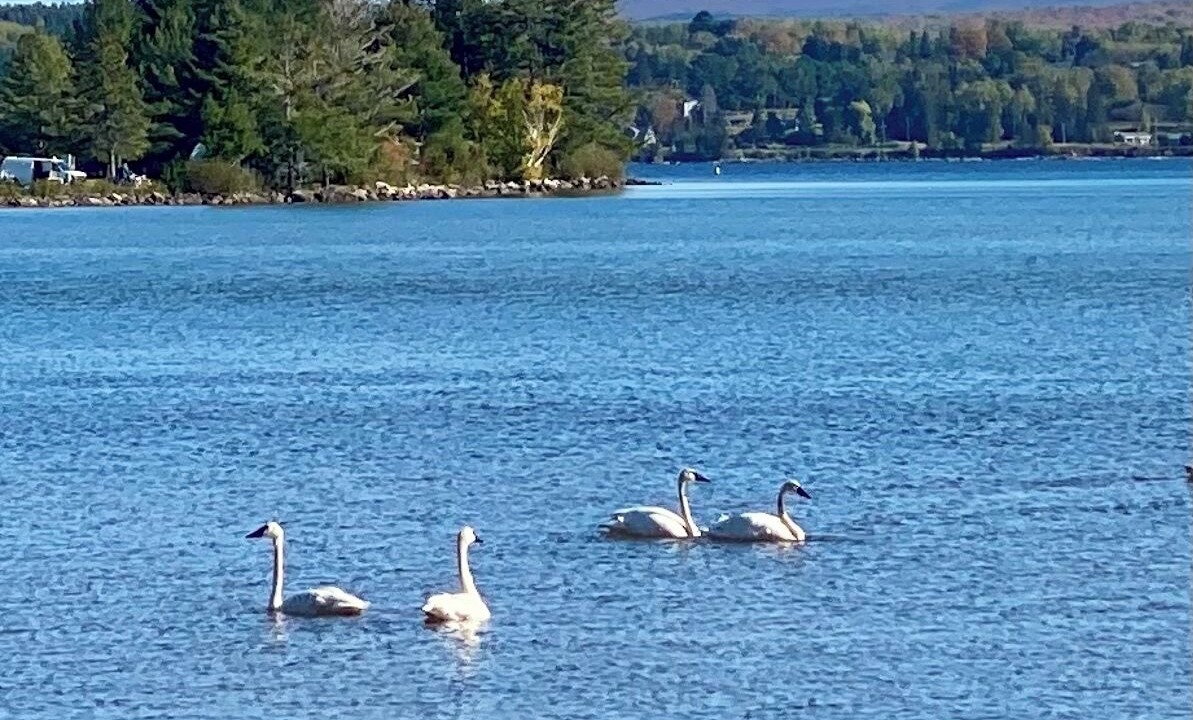 Photo of Others in Baraga