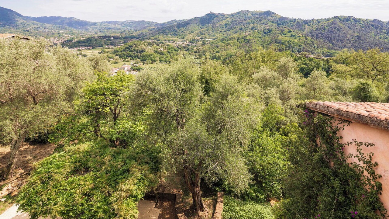 Photo of Others in Camaiore