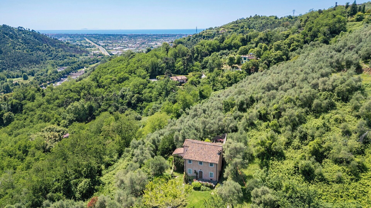 Photo of Outdoor in Camaiore