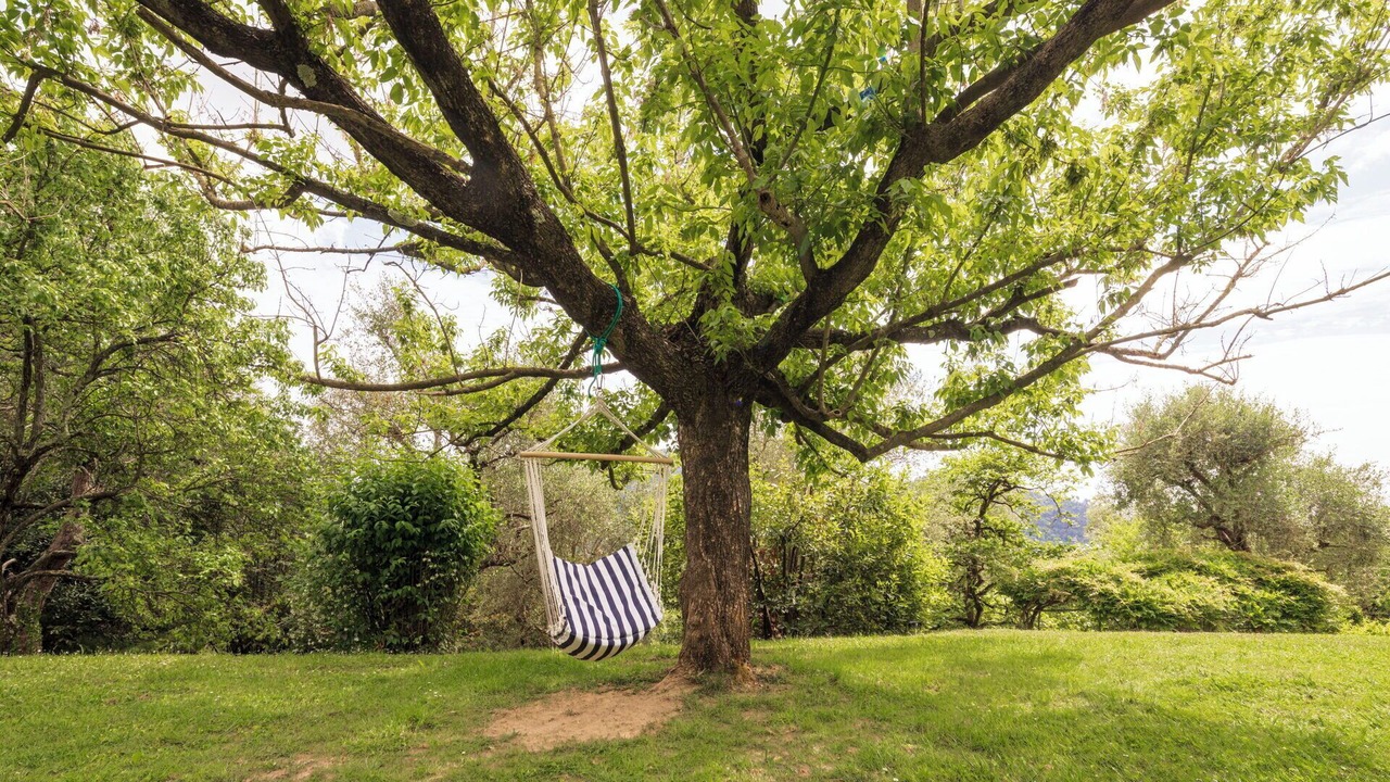 Photo of Outdoor in Camaiore