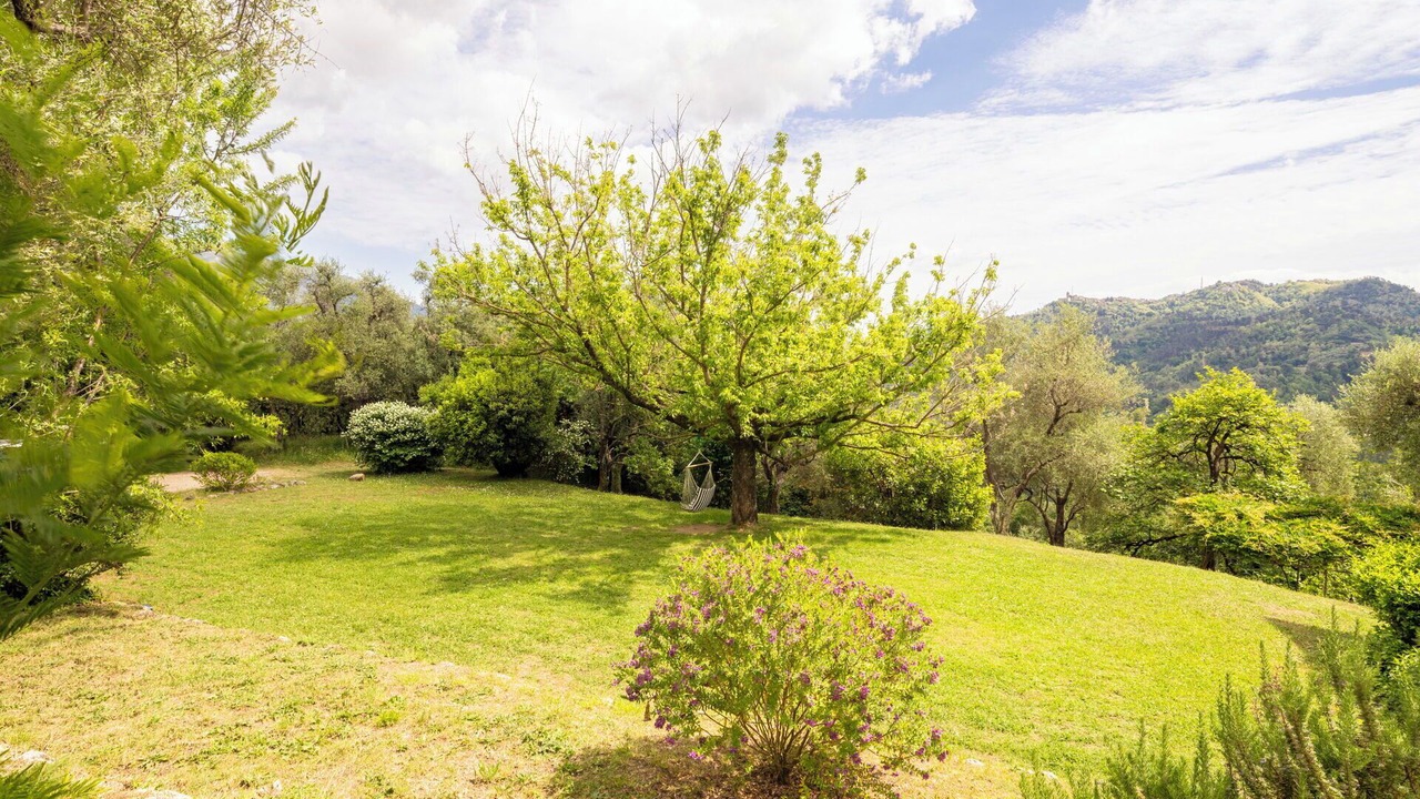 Photo of Outdoor in Camaiore