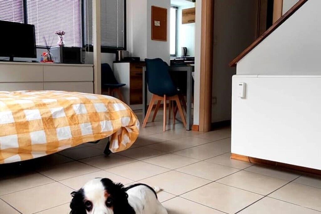 Photo of Bedroom in Novoli - San Donato
