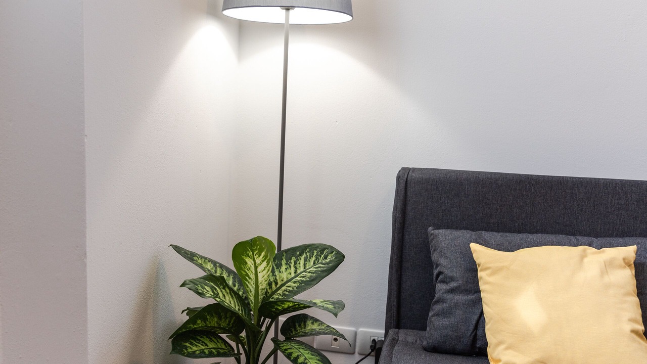Photo of Livingroom in Novoli - San Donato