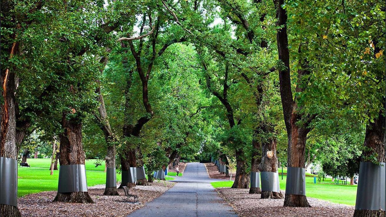 Photo of Outdoor in East Melbourne
