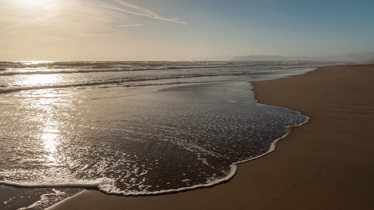 Photo of Others in Viareggio