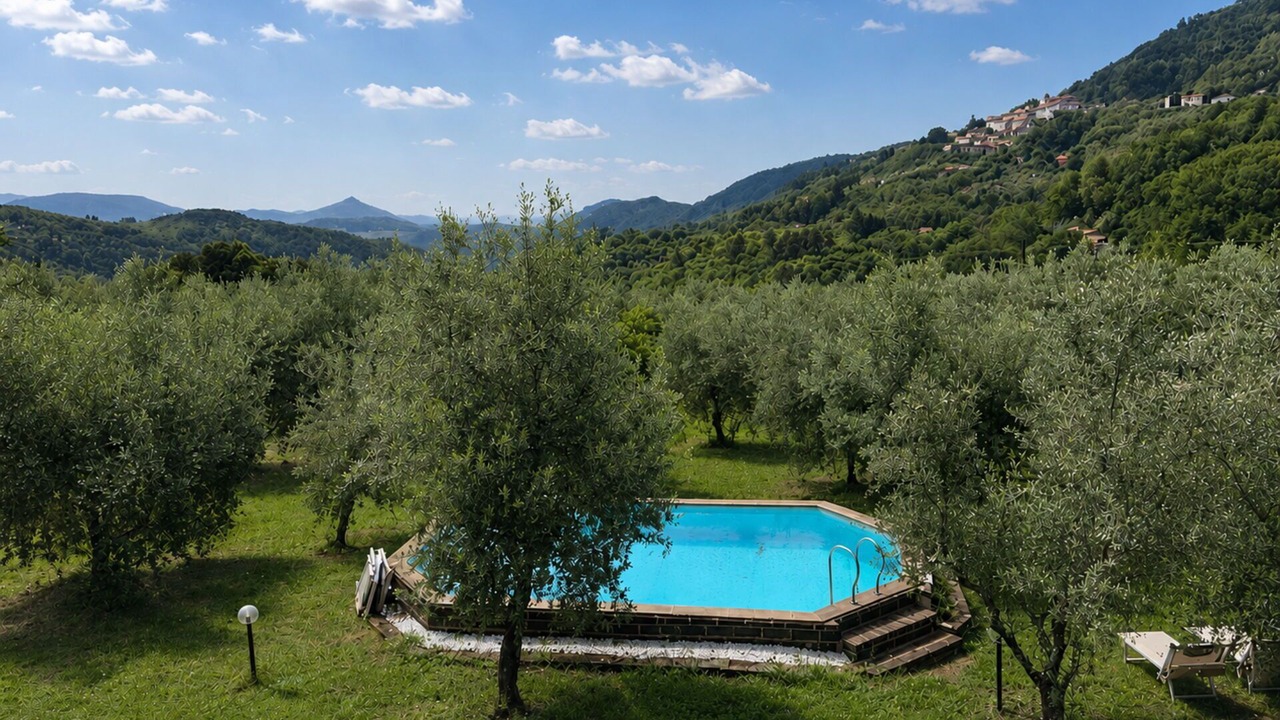 Photo of Outdoor in Marliana