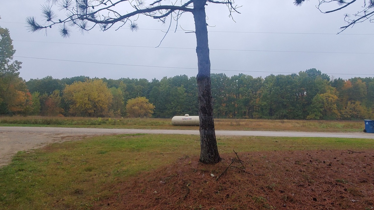 Photo of Outdoor in Sand Lake