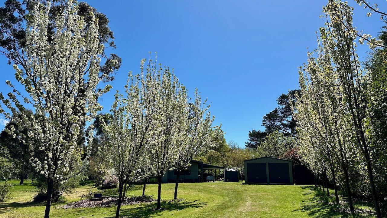Photo of Outdoor in Taggerty