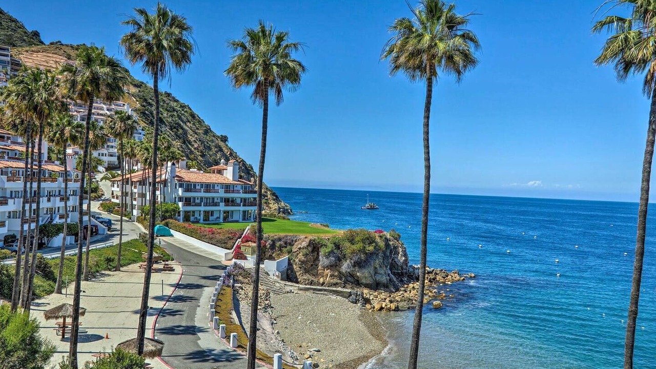 Photo of Others in Avalon