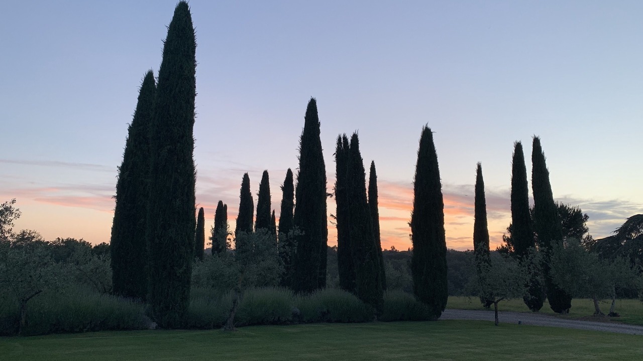 Photo of Others in Tavarnelle Val di Pesa