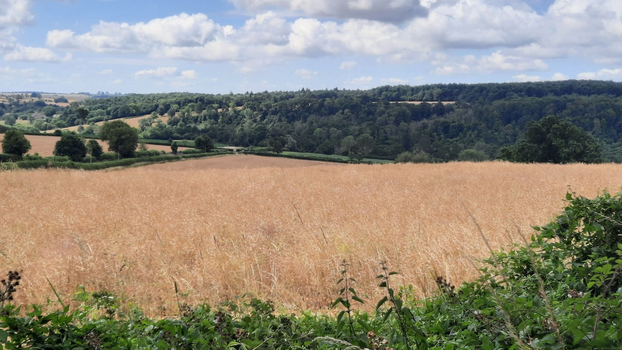 Photo of Others in Temple Guiting